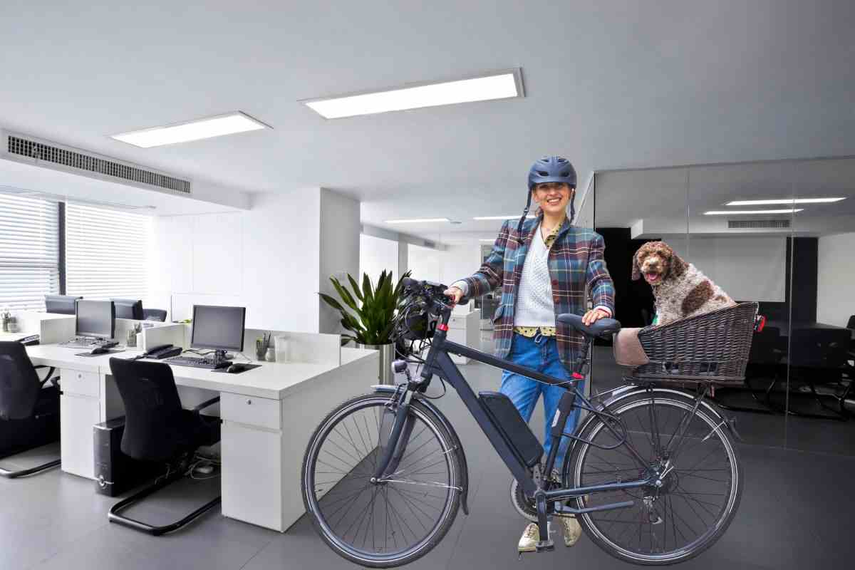 Bicicletta anche in ufficio