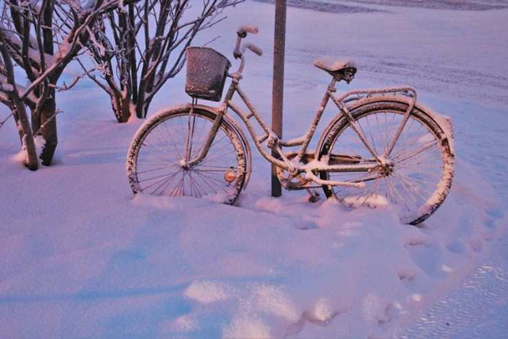 Bici sulla neve