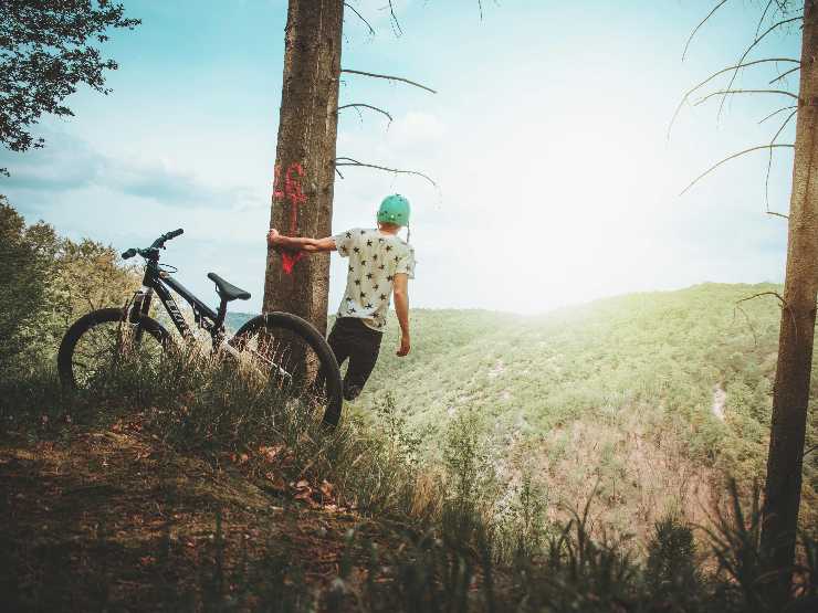 La bici e il telaio