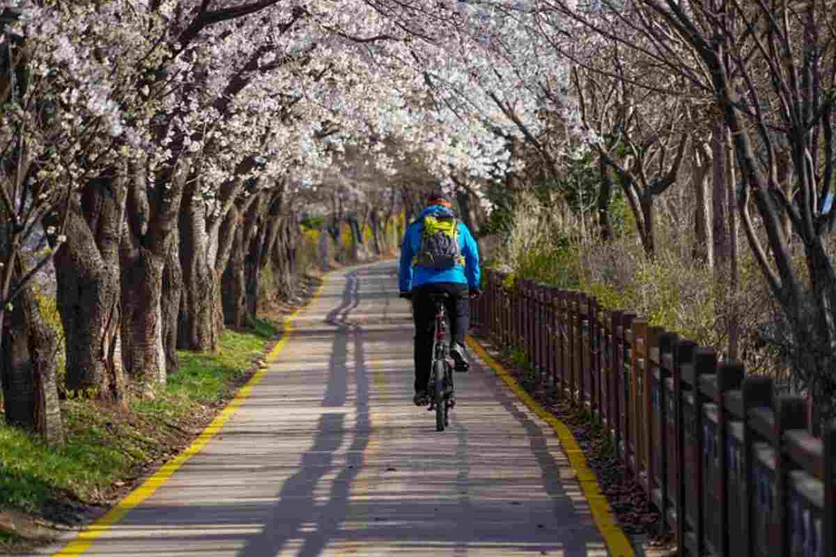 Le piste ciclabili sono davvero a rischio?