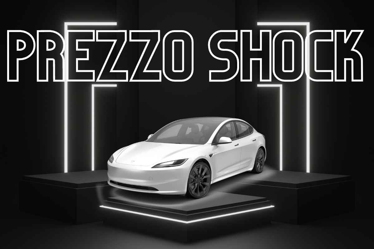 tesla economica