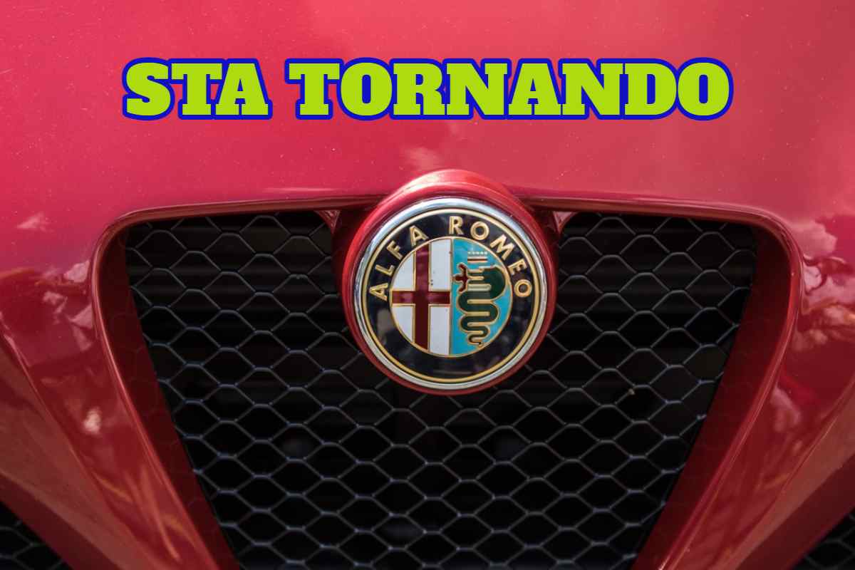 Alfa Romeo, appassionati in delirio: sta per tornare quella mitica, solo il nome fa sognare