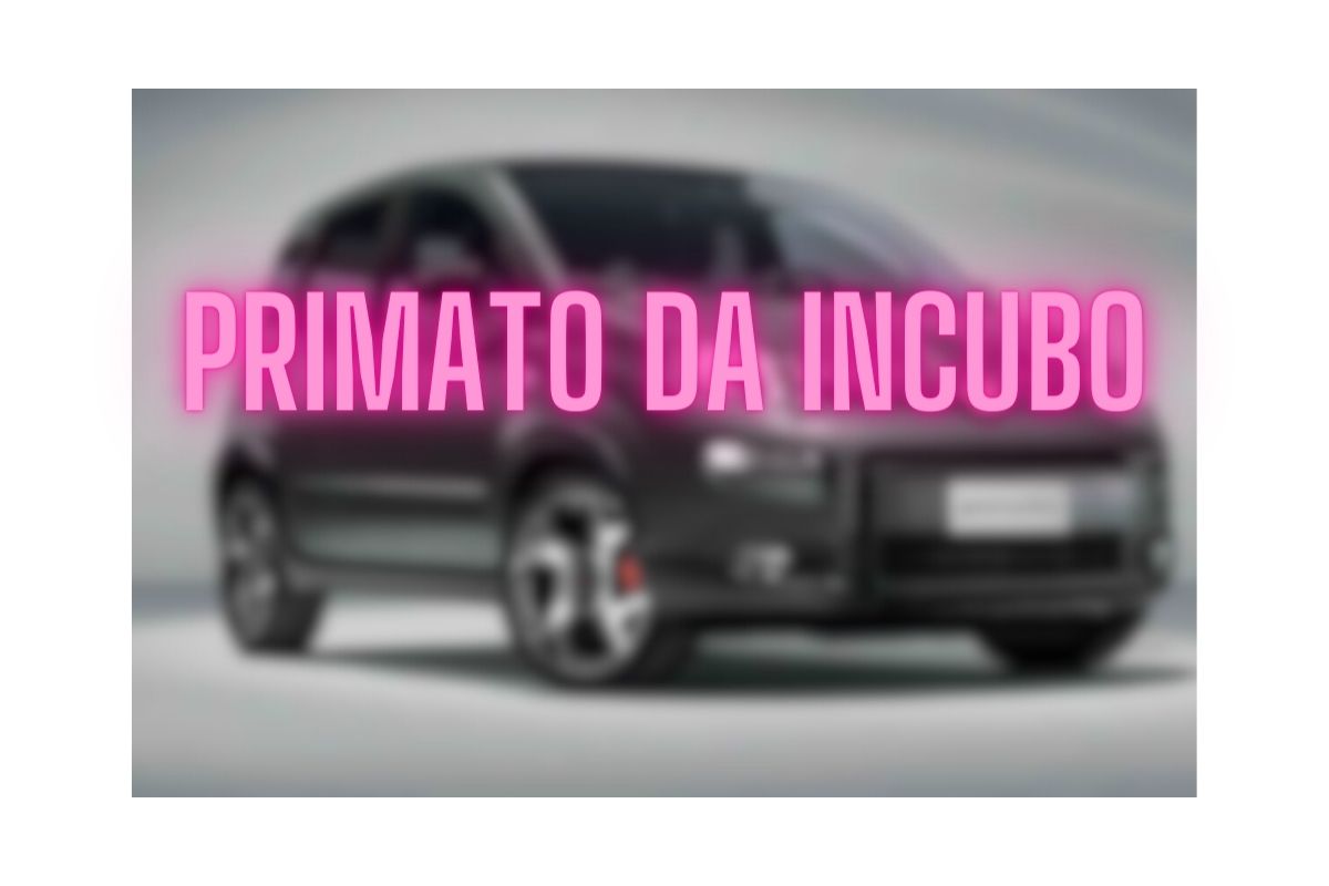 Fiat panda furti auto