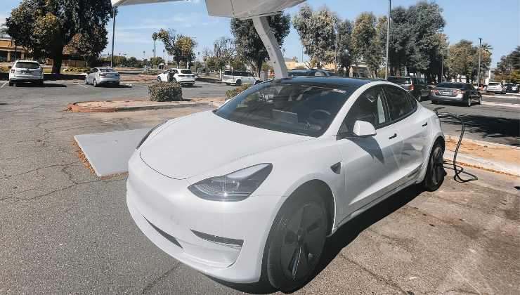 Tesla Model Y sistema guida autonoma