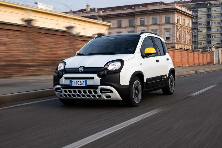 auto regole neopatentati