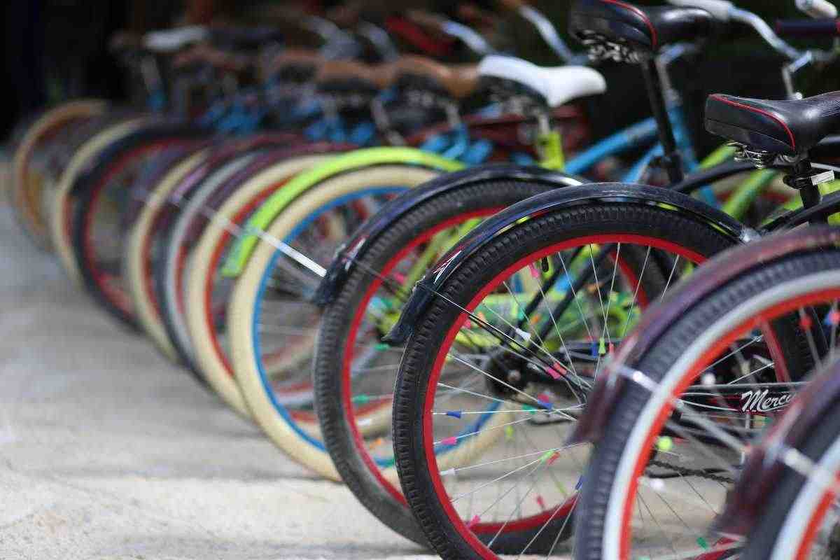 Bonus bici 2025