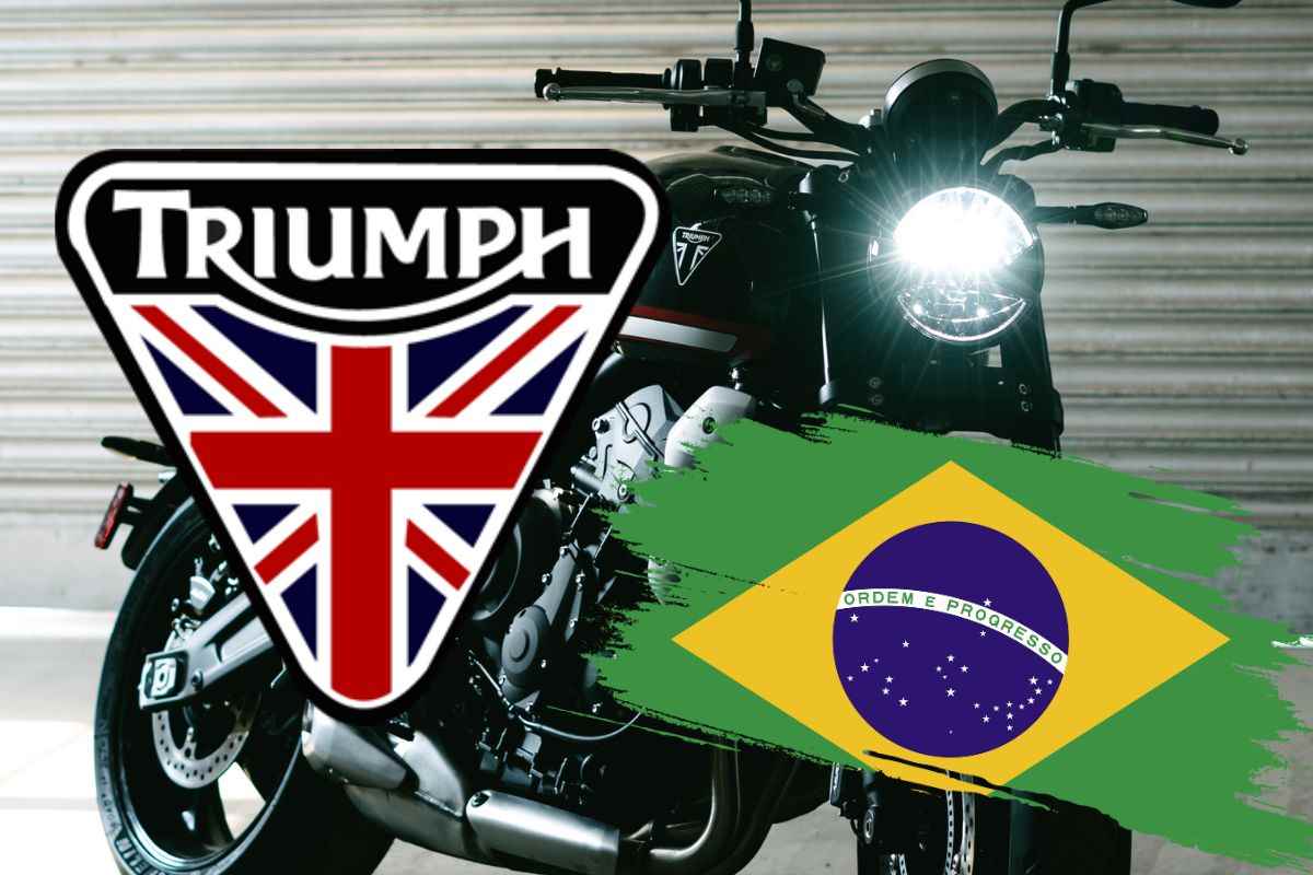Gaijin Triumph moto custom